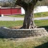 muret-paves-picot-maconnerie-chauve-pornic.JPG title=